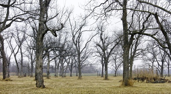 Bird Creek Ranch