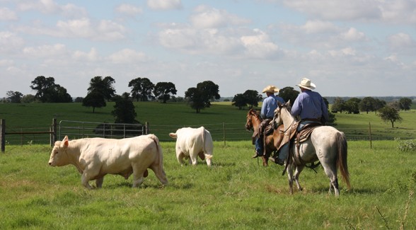 CampCooleyRanch