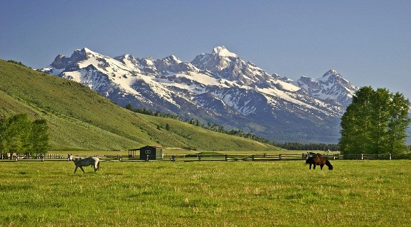 JacksonLandCattleRanch_lg