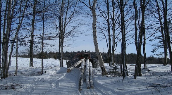 Land To Table: Vermont Maple Sugar