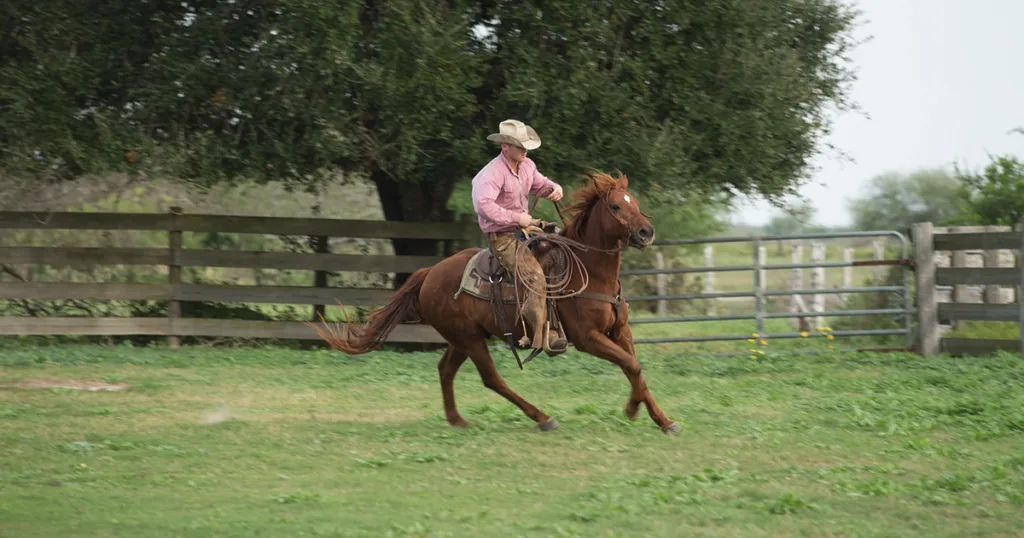 James Clement III, King Ranch