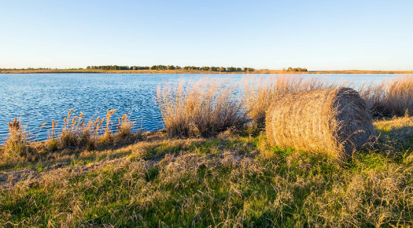 The current
production of round
bales is at a fraction
of true capacity.