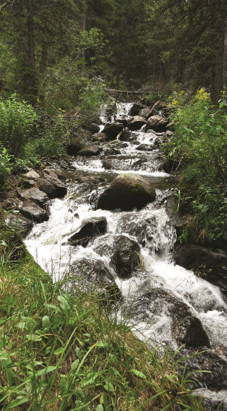 More than 100 miles of private fishable streams and creeks nurture wild browns, cutbows, brook trout, and Rio Grande cutthroat as do dozens of lakes and ponds.