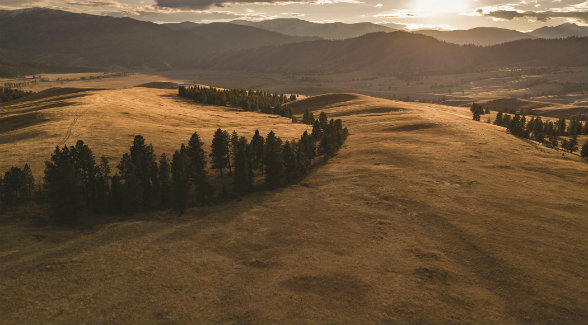 Named for the plentiful bitterroot plant, Western Montanaâ€™s Bitterroot Valley has one of the mildest climates in Big Sky country and can be found an hour south of Missoula.