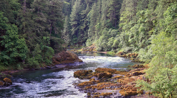 UMPQUA NATIONAL FOREST || The tiny timber town is surrounded by BLM and forestland.