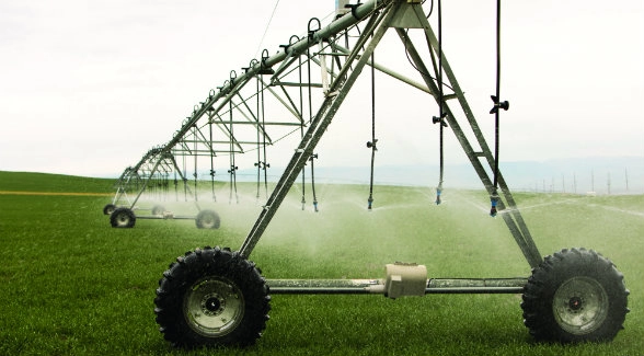Leading Harvest 