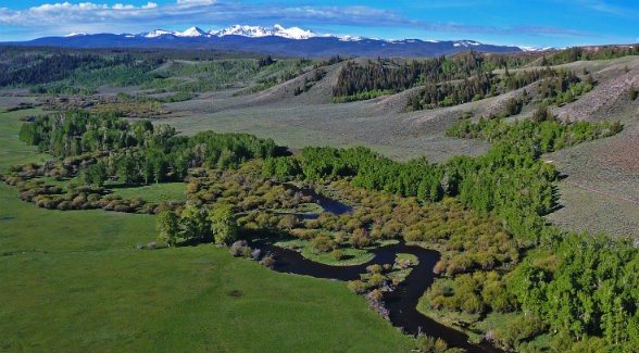 LARAMIE RIVER | More than 27 miles of live water course through the ranch, including 11 miles of the Laramie, a wild brown fishery.