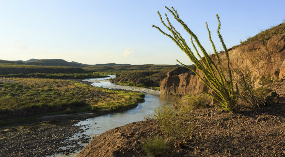 BIG BEND | Ocotillo and a shallow Rio Grande near Presidio.