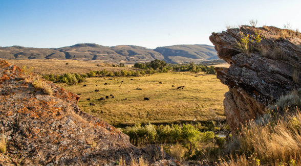 RESPECT, NOT JUST PRICE | It was important to the Bixby family that the buyer do more than just meet their price. They had to be a steward of the land. True Ranches fit the bill.