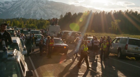 BEAR JAM | The digital era has heightened the international appeal of the grizzly. In this image, Grand Teton National Park rangers cordon off eager onlookers.