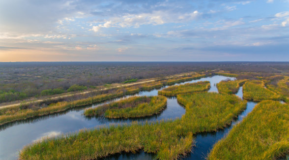 GOLDEN TRIANGLE | The area of South Texas bounded by Dimmit, LaSalle, Maverick, Webb, and Zavala counties consistently produces Boone & Crockett-caliber bucks.