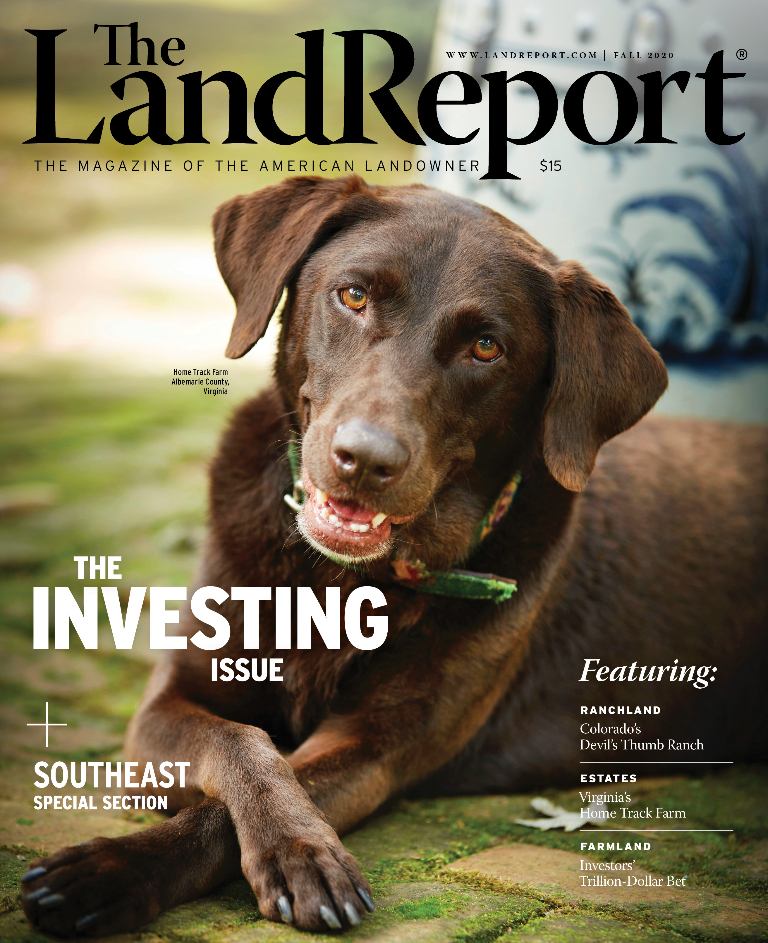 Land Report Fall 2020 cover