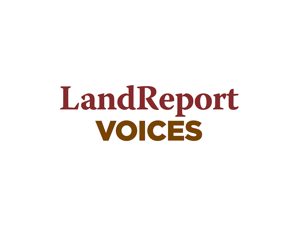 LR_Voices_Logo