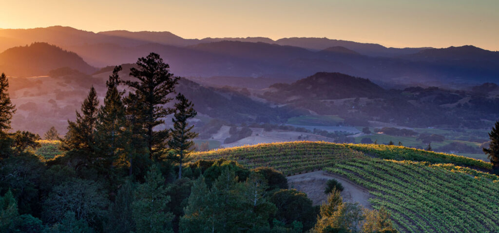 The Ferrari-Carona Legacy
Don and Rhonda Carona founded their winery to serve the thousands of guests at their casinos and resorts in Reno