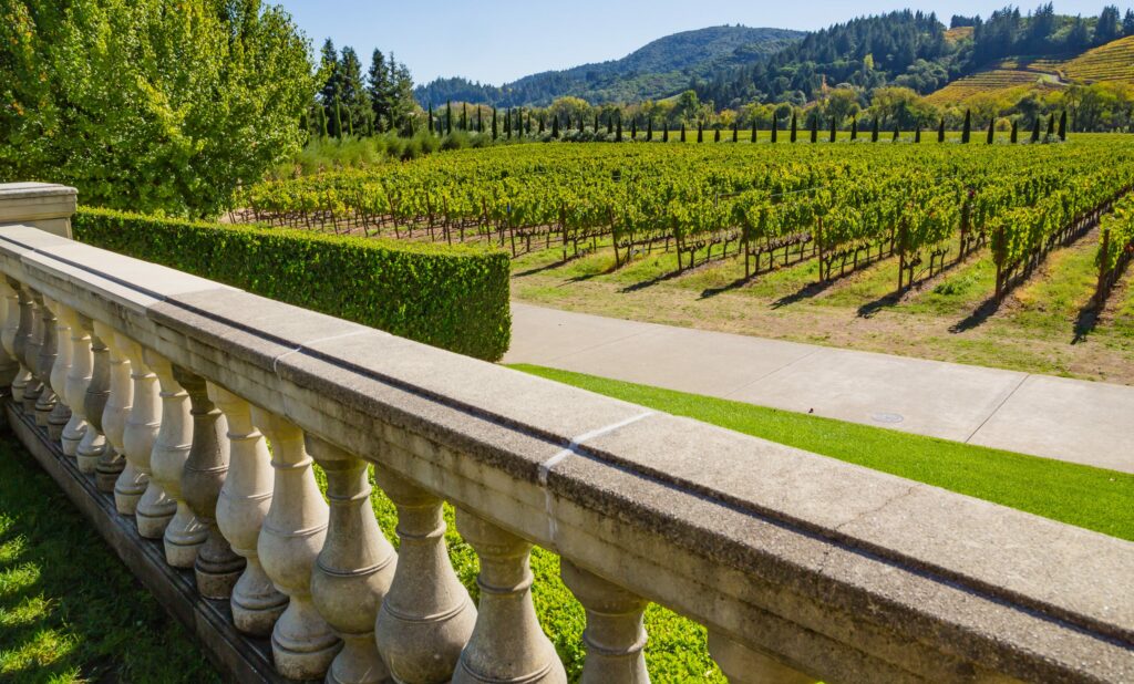 Sonoma,,Ca,/,Usa,-,10.14.2018:,Vineyard,At,Ferrari-carano