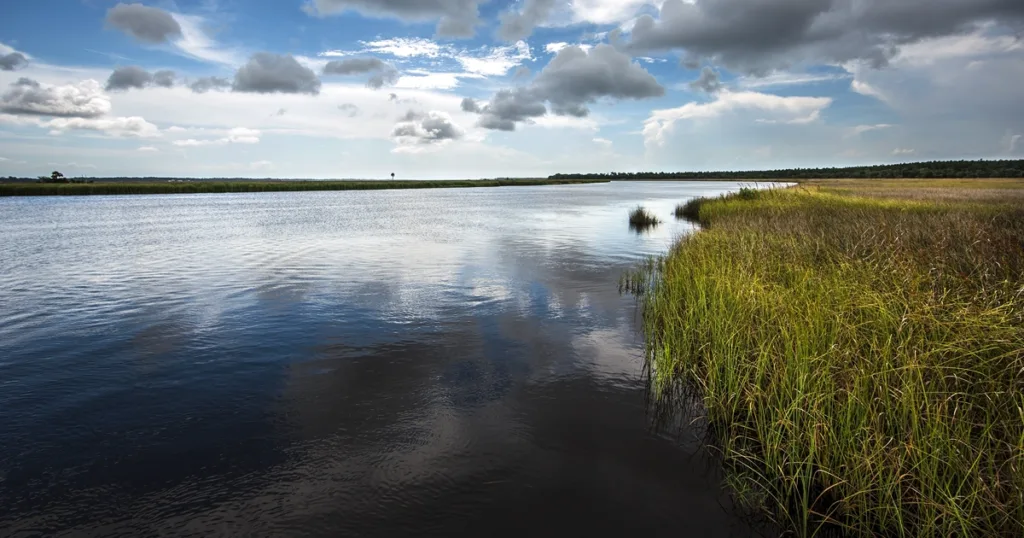Bluffs of Saint Teresa, Florida,