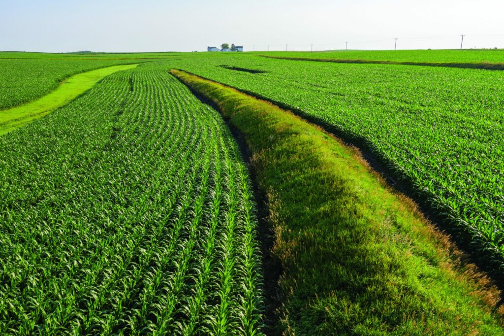 Garst Farms Rows