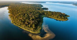 Cash McWhorter, Fairfield Lake, Hortenstine Ranch Company,Post Oak Savannah, Texas Parks & Wildlife, Vistra