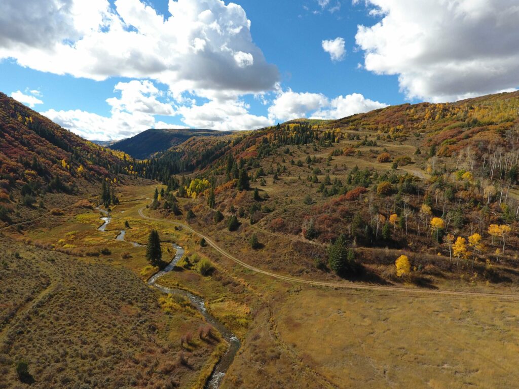 CatMark - Elk Creek Wetlands