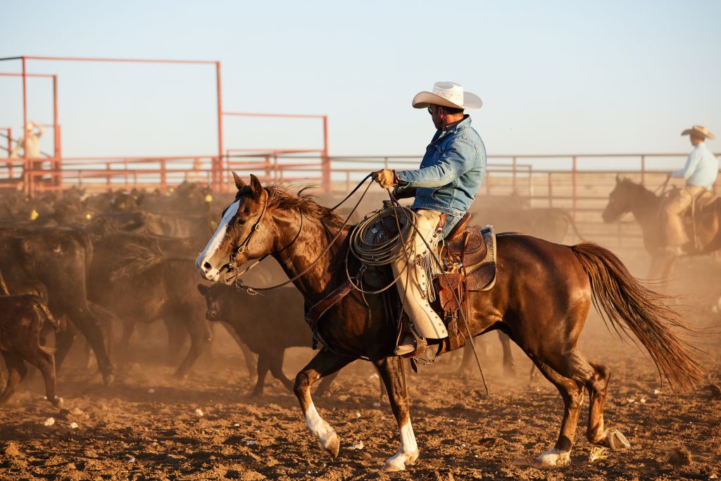 Taylor Sheridan Takes the Reins at the Four Sixes