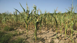 drought in the US