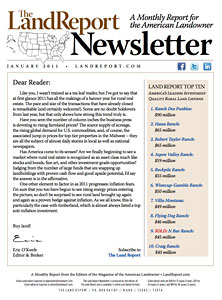 LR_Newsletter_January2011