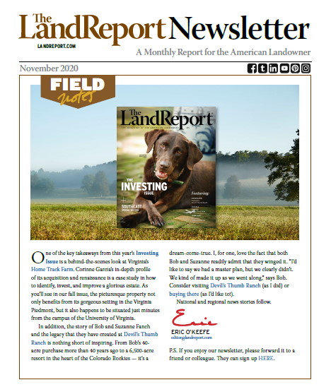Land Report newsletter November 2020