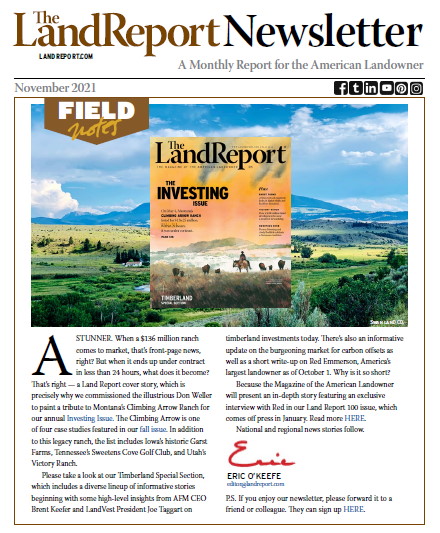 Land Report Newsletter November 2021