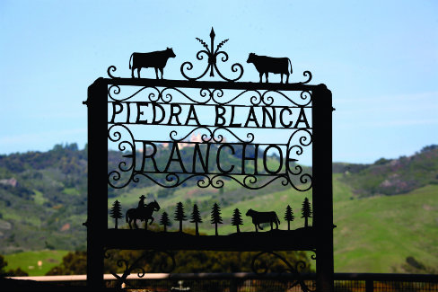 Known worldwide as the home of Hearst Castle, 82,000 acres Piedra Blanca Rancho is a landmark cattle ranch overlooking the Pacific Ocean.