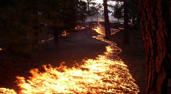 Online Exclusive: Western Wildfires — Fighting Fire with Fire