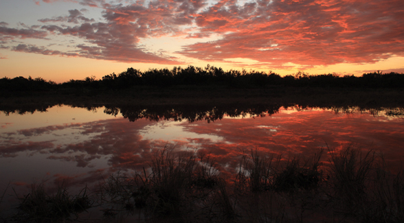 Waggoner Ranch