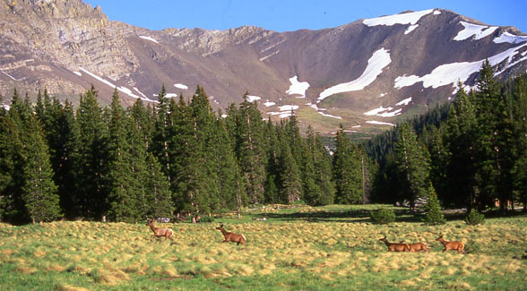 Deal Book: 2007 Sale of the Forbes Trinchera Ranch