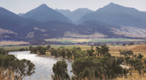 Where the yellowstone goes