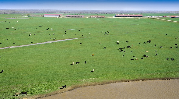 On The Block: Oklahoma’s Waurika Farms