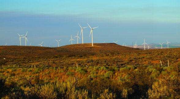 WindTurbines_lg