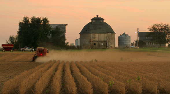  Farmland