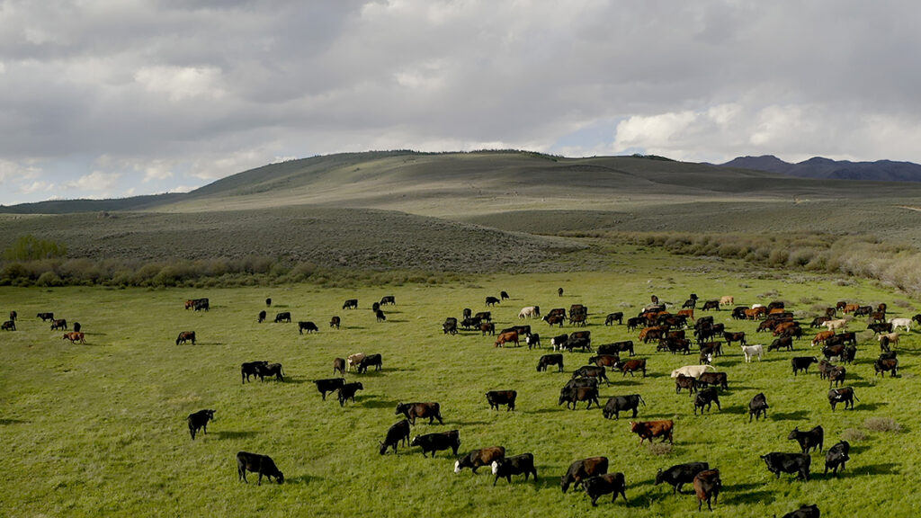 Bar Cross Ranch, CORA, WY, Wyoming, Hall and Hall, Ranchland