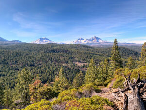 Bull Springs Skyline Forest, Bull Springs, Mason & Morse Ranch Company, Timberland, Bend, Oregon, OR