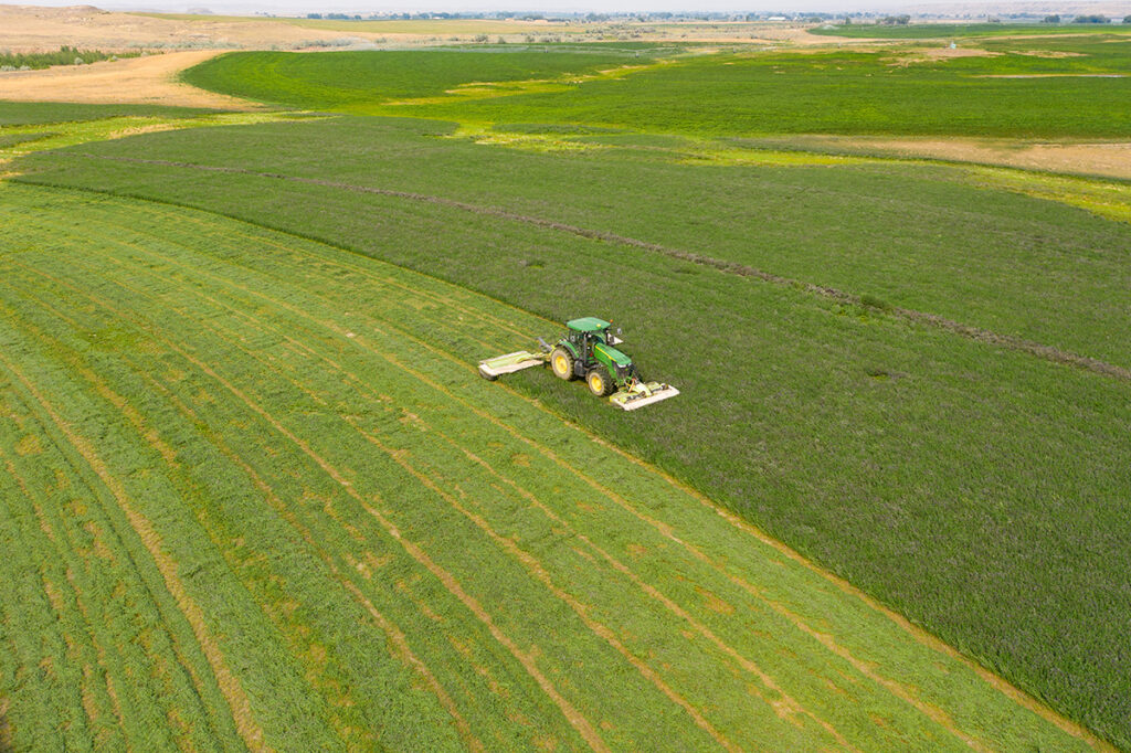 Yellowstone River Farm, Miles City, MT, Montana, Farmland