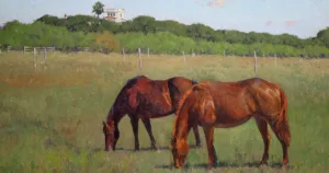 Creek Barn Trap Grazers,Santa Gertrudis, King Ranch