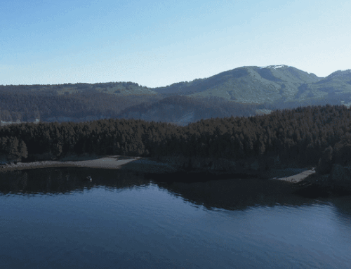 Passage Island