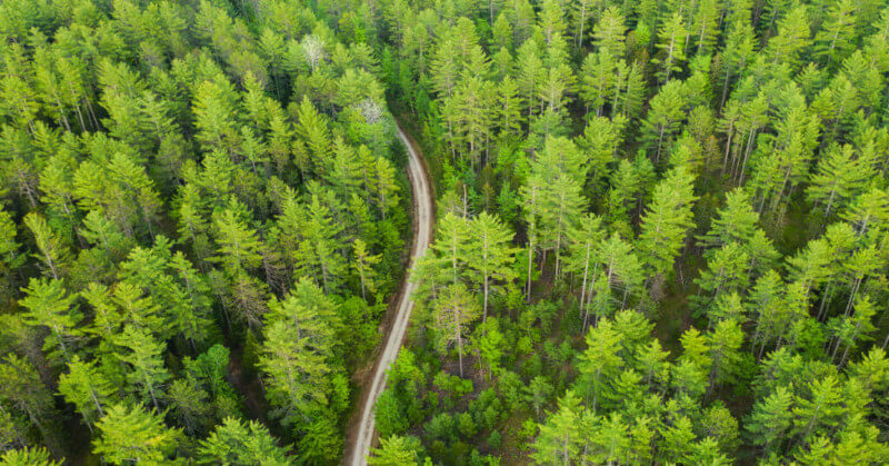 LR ForestParkRanch 00 optimized LR ForestParkRanch 00 optimized