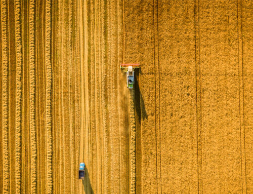 Five Data Points You Should Know Before Buying Farmland