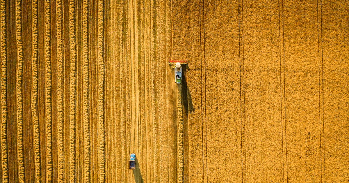 LR WheatHarvest LR WheatHarvest