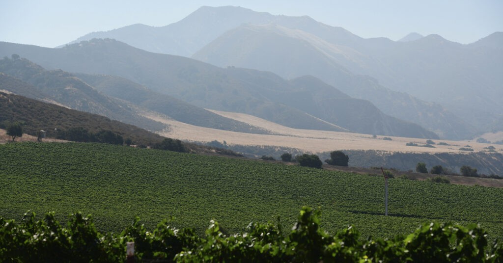 LR Rancho Sisquoc Mountains Rancho Sisquoc Mountains, Rancho Sisquoc Winery, Wine, Mountains, Steve McCrank