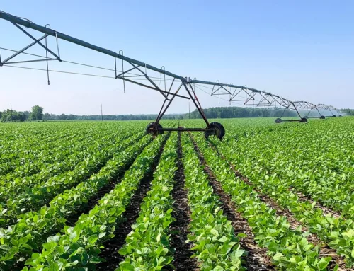 Early Notice: Major Tillable Land Portfolio – 7,458 Acres In Six Wisconsin Counties