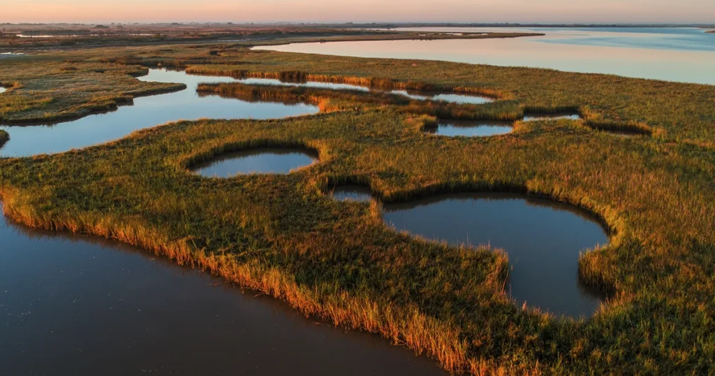 Land Report Deals of the Year, King Land & Water, Powderhorn Ranch
