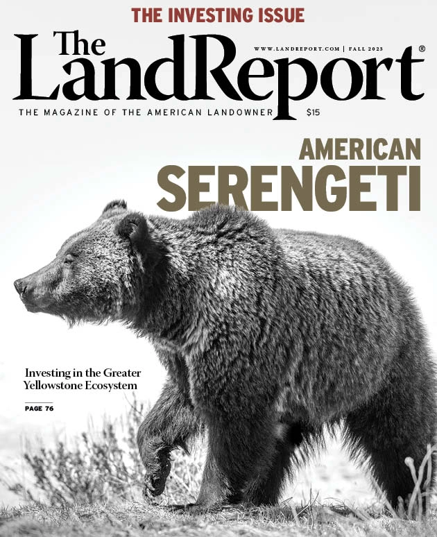 American Serengeti