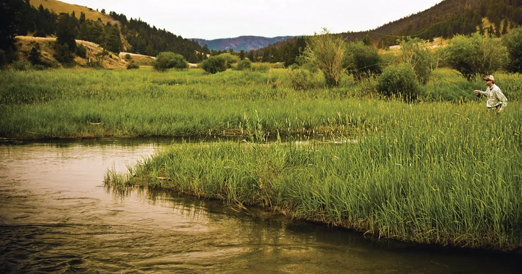 River Why Ranch