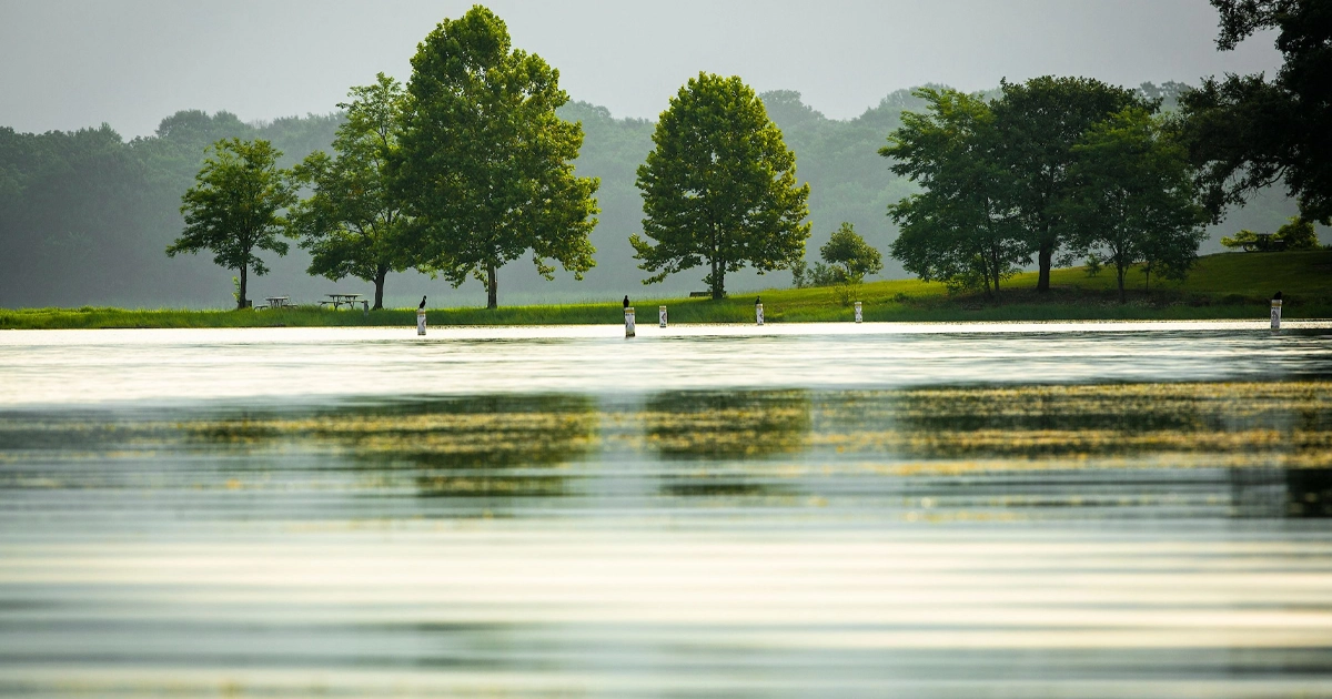 Fairfield Lake, Freestone Count¥, Hortenstine Ranch Company, Texas Parks and Wildlife Department, Todd Interests, Vistra Corp.